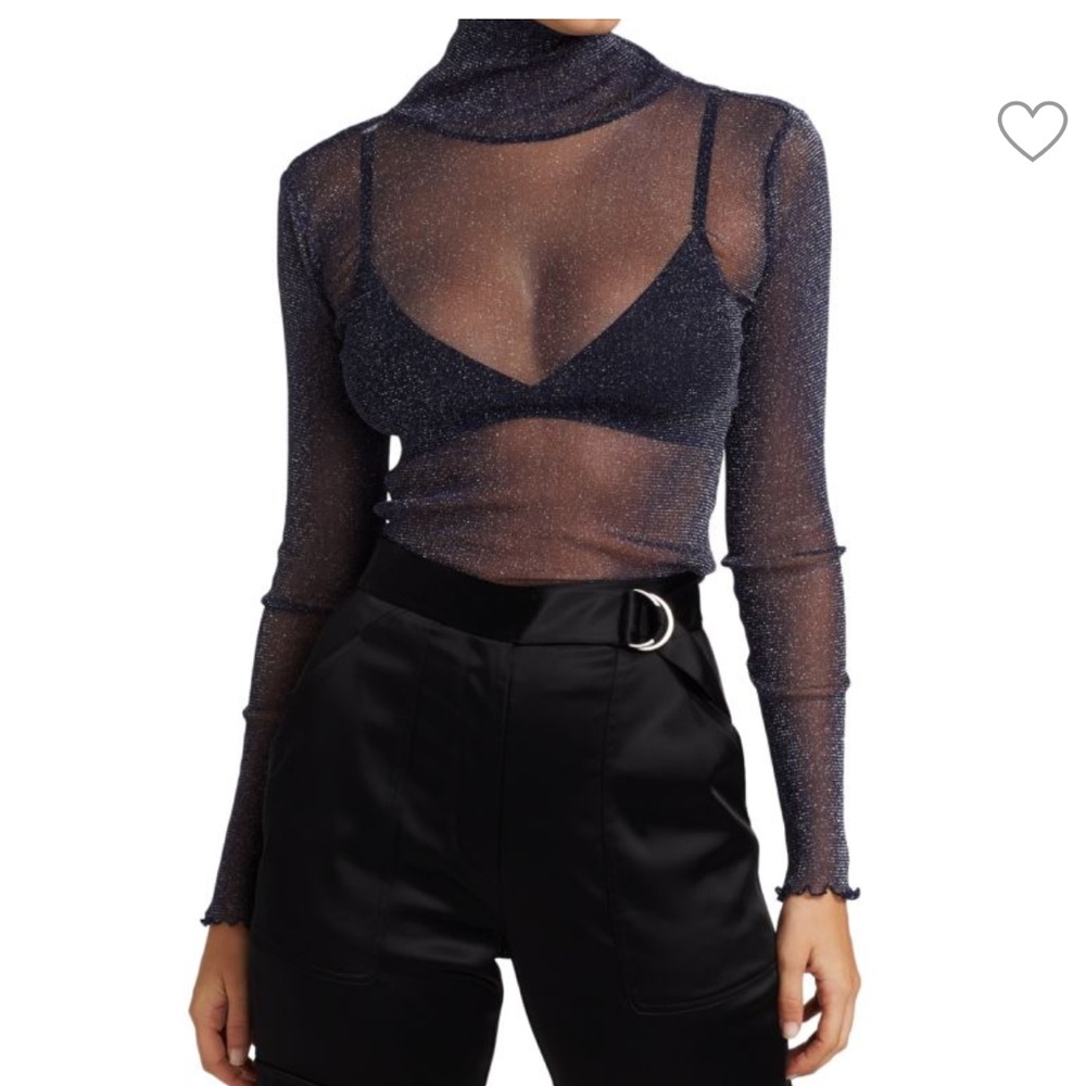 Shimmer sheer turtleneck long sleeve top